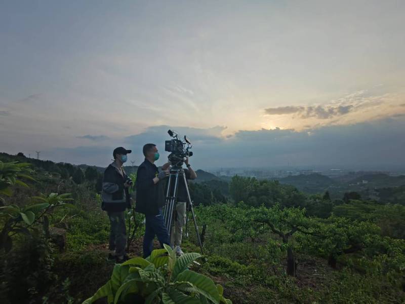 创意破圈！方城县电商产品宣传视频用故事化叙事引爆流量