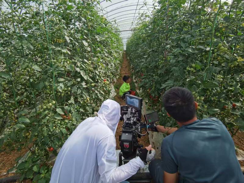 方城县产品宣传视频拍摄公司进阶指南，助力品牌抢占传播高地